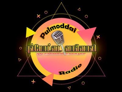 Pulmoddai Radio