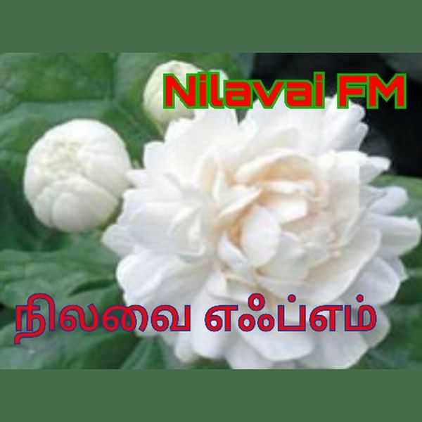 Nilavai FM - Now Playing